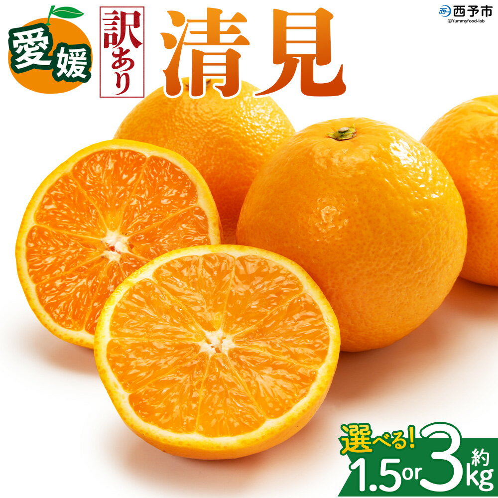 【ふるさと納税】＜【訳あり】愛媛県産 清見 約1.5kg／3kg＞『2027年2月上旬～4月下旬迄順次発送予定』 選べる 容量 内容量 わけあり 訳アリ きよみ みかん 柑橘 蜜柑 果物 くだもの フルーツ ミカン 果汁 国産 特産品 株式会社三代目みかん職人 愛媛 西予市【常温】