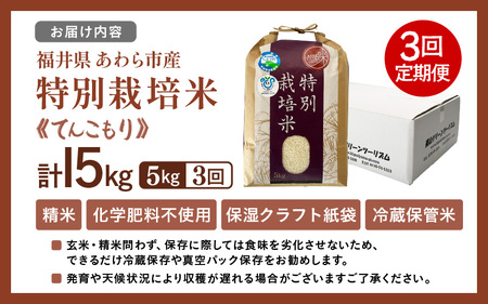【先行予約】【令和7年産】定期便 ≪3ヶ月連続お届け≫ 化学肥料不使用 特別栽培米 てんこもり 精米 5kg × 3回（合計15kg） / 白米 米 福井県あわら市産 美味しい 特別栽培米 減農薬 安
