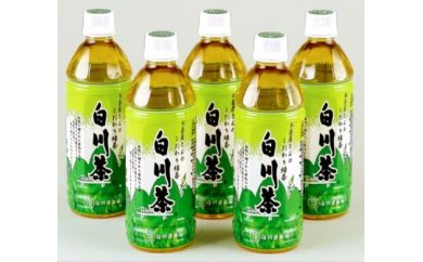 ※※白川茶ペットボトル500ｍl 24本入り ◇