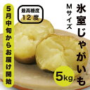 【ふるさと納税】【先行予約商品】【5月中旬から発送予定！】氷室メークイン 5kg《厚真町》【とまこまい広域農業協同組合】 じゃがいも ジャガイモ 芋 メークイン 野菜 先行予約 北海道 [AXAB046]