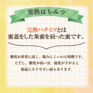 はちみつ 天然 500g はちみつ 蜂蜜