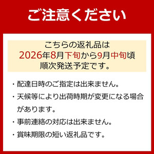［先行予約］巨峰 約1kg［朝採り］［葡萄・ぶどう］［種なしブドウ］［フルーツ・果物］［2026年8月下旬頃から順次発送］
