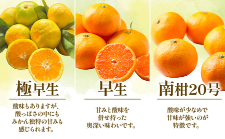 みかん 贈答用 おまかせ 温州みかん 3kg YAMAUCHI FARM 愛媛みかん 極早生 早生 南柑20号 愛媛蜜柑 愛媛ミカン うんしゅう 玉津 みかん mikan 先行予約 果物 フルーツ 柑