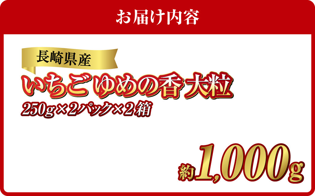 長崎県産いちご ゆめの香 大粒 約1kg（250g×2パック入×2箱）いちご 苺 イチゴ 冷蔵 果物 フルーツ 果実