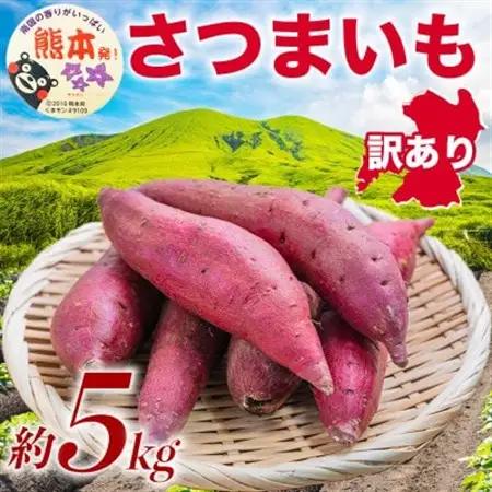 訳あり さつまいも 約5kg(益城町)【1689370】