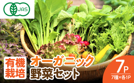サガンベジオーガニックサラダミニセット 7種×1パック 有機JAS / 佐賀県 / 株式会社サガンベジ [41ANCH001]