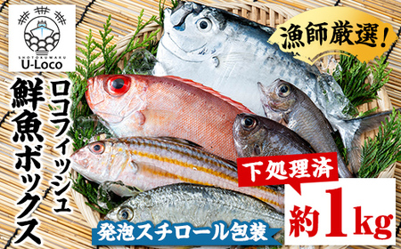 【P78002】漁師厳選！ロコフィッシュ(地魚) 下処理済 鮮魚 ボックス(約1kg)【発泡スチロール包装】 地魚 魚 お魚 冷蔵 生もの 加工品 未利用魚 低利用魚 焼き魚 焼魚 刺し身 刺身 煮魚 届くまでのお楽しみ 鮮魚セット 鮮魚ボックス 鮮魚BOX 【昌徳丸】