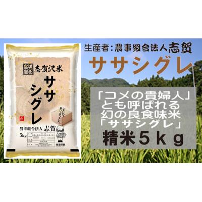 ふるさと納税 岩沼市 【令和7年産新米】志賀沢米 ササシグレ 精米5kg [No.5704-0511] |  | 01
