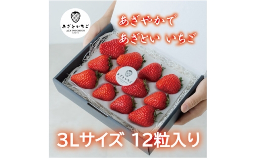 ＜12月25日から順次出荷＞あざといちご　3Lサイズ　12粒入り　ロックファーム京都【1786952】