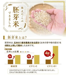 SA2837　令和7年産【胚芽米】ひとめぼれ　5kg×1袋　 YA