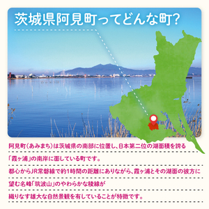 【返礼品なし】阿見町ふるさと応援寄附金(100000円)(000-06)