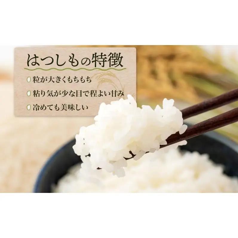 ＜先行予約＞令和8年産 はつしも 精米 30kg×1袋 低農薬 新米 お米 白米 米 ごはん 米 ご飯 ハツシモ R8年産 あっさり ブランド米 お取り寄せ 産地直送 送料無料 美濃グリーン 岐阜県 