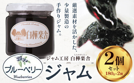 ジャム ブルーベリージャム 2個 180g × 2個  豊年楽市有限会社《30日以内に出荷予定(土日祝除く)》| ジャム ジャム ジャム