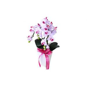 01 造花 シルクフラワーのミニ胡蝶蘭の鉢植 3本立 CT触媒 ライトパープル ／ お花 コチョウラン 埼玉県