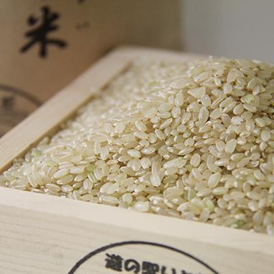 ふるさと納税 糸田町 いとだ泌泉米 (玄米 10kg)