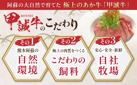 【全3回定期便】熊本和牛 あか牛 ローストビーフ 約200g ローストビーフ[AYCQ086]