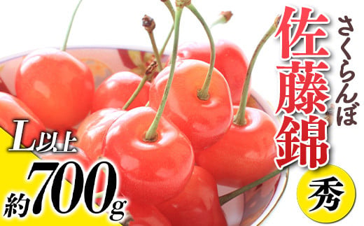 【令和7年産先行予約】 さくらんぼ 「佐藤錦」 約700g (秀 L