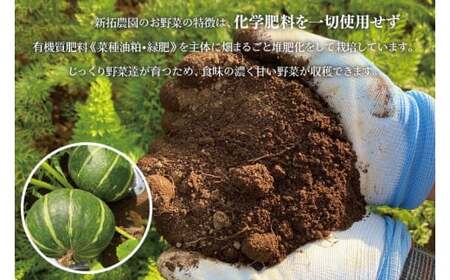 かぼちゃ 5kg以上 Lサイズ 野菜 南瓜 かぼちゃ