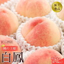 【ふるさと納税】先行販売！【モモ】 白鳳　桃の王様！約2kg6～8個 【2025年6月下旬頃より順次発送】【秀品】こだわり農家厳選 【KG12】 | もも フルーツ 果物 くだもの 食品 人気 おすすめ 送料無料