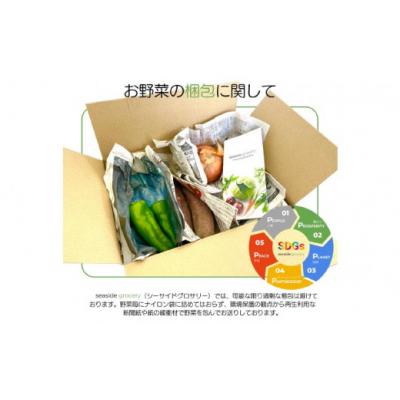 ふるさと納税 南あわじ市 【シーサイドグロサリー】淡路島産規格外野菜ボックス・Lサイズ(4〜5人向け) |  | 03