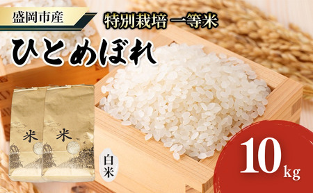 盛岡 大櫻農園 「ひとめぼれ 白米」10kg 特別栽培 一等米 2025年産 お米 精米 白米 こめ コメ おこめ ごはん ブランド米 常温 国産 岩手県 岩手 盛岡市産 