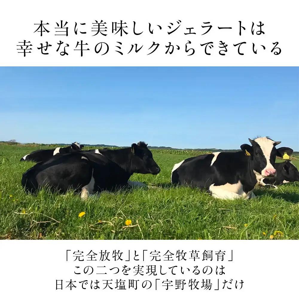 幸せな牛のミルクからできたジェラート ティー＆スパイス6個セット ＜㈱SAKURA STYLE＞