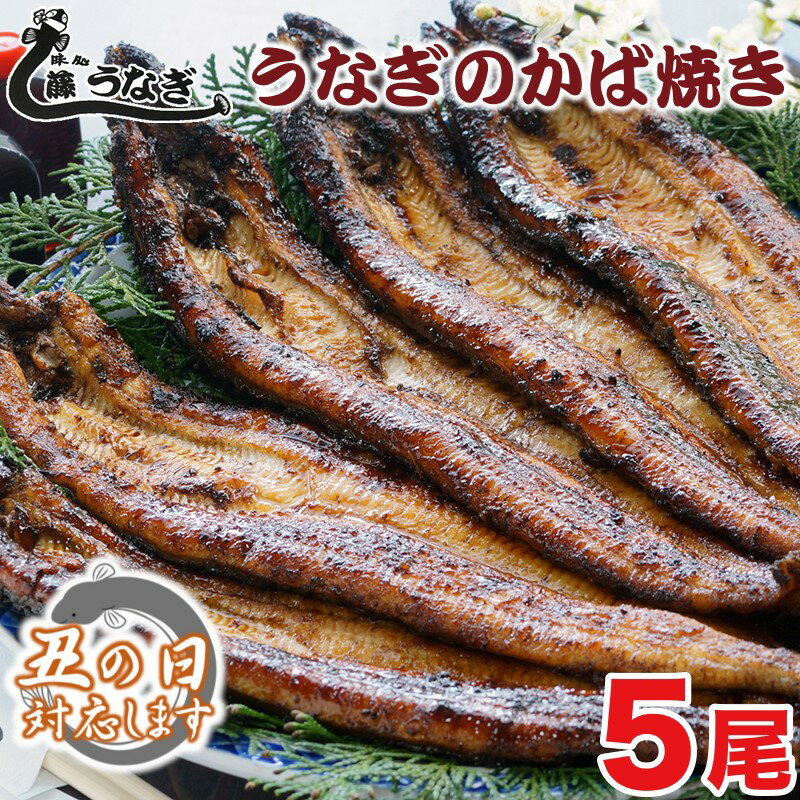 【ふるさと納税】藤うなぎ　かば焼き（5尾） 国産うなぎ 手焼き 炭火焼 送料無料 冷蔵 蒲焼 宮崎県 西都市＜15-3a＞『丑の日企画も受付』