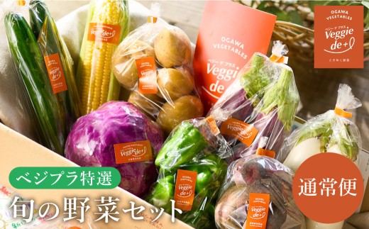 旬の新鮮なお野菜を産地直送！ベジプラ特選 旬の野菜セット【1回お届け 】 / 野菜 詰め合わせ セット 野菜セット 新鮮 ギフト やさい 苦みが少ない 甘みが強い Veggie de＋