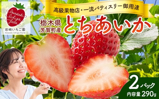 
            【先行予約】栃木県芳賀町産いちご とちあいか290g(7～12粒)×2トレイ | 果物 フルーツ いちご 苺 イチゴ とちあいか ブランド 期間限定 季節限定 旬 国産※2026年1月上旬～4月下旬頃に順次発送予定
          