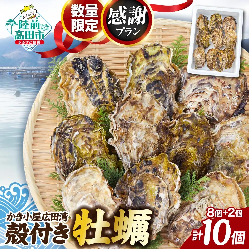 【感謝プラン】 殻付き生牡蠣10個 生食用 三陸産 牡蠣