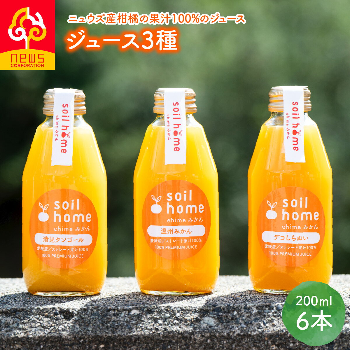 【ふるさと納税】ジュース3種6本(200ml×6本)【ふるさと納税 人気 おすすめ ランキング 柑橘 みかん ミカン オレンジ 紅華 ジューシーフルーツ せとか 清見タンゴール おもだ畑の温州みかん デコしらぬい オレンジジュース ジュース フルーツジュース 旬 愛媛県産】IKTF040