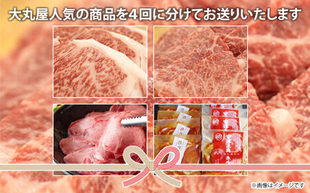 牛肉 【4回定期便】肉の定期便 牛肉 牛肉 牛肉