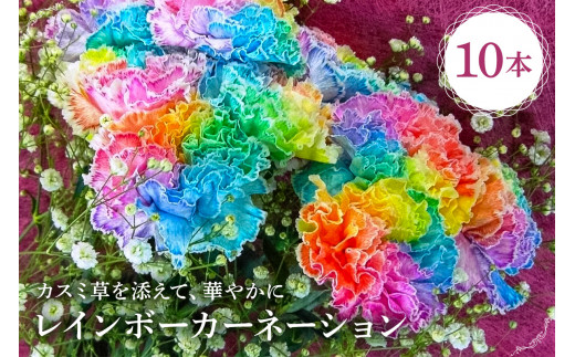 レインボーカーネーション 10本セット mi0019-0005 【 カーネーション かすみ草 母の日 プレゼント 観賞 】