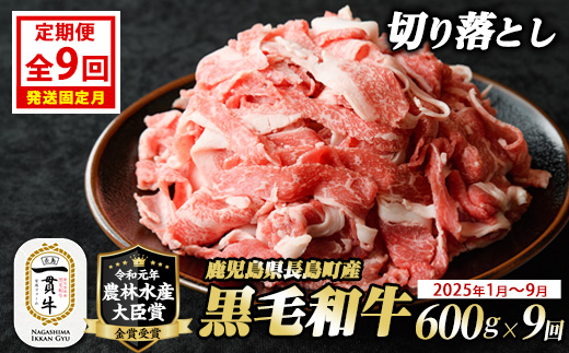 定期便 全9回 宮路ファームの黒毛和牛切り落とし(300g×2パック) 鹿児島県産 切り落とし 牛肉 すき焼き パック詰め 肉じゃが 牛丼 野菜炒め 農林水産大臣賞 肉 しゃぶしゃぶ 国産黒毛和牛 焼肉 定期便【宮路ファーム】f-miyaji-1380