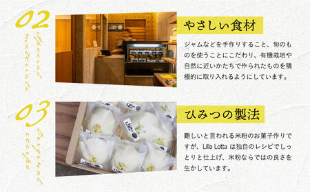 【全3回定期便】【 グルテンフリー 】 米粉のレモンケーキ 9個 《長与町》【Lilla Lotta】 [EBR006]