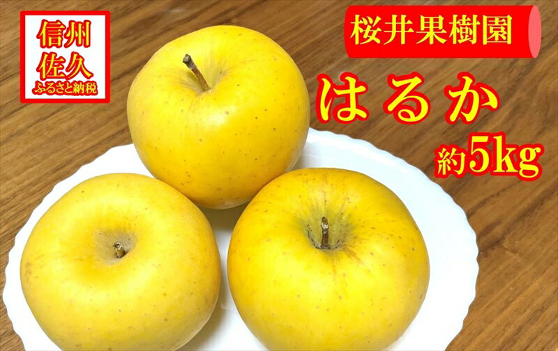 【ふるさと納税】 長野県産りんご『はるか』 家庭用 約5kg（18～23玉入）＜2025年11・12月出荷／沖縄・離島は配送不可＞信州 果物 旬彩 先行予約 期間限定 国産 【 りんご リンゴ 林檎 はるか 長野県 佐久市 旬彩】
