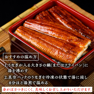 【E57004】＜定期便・計3回(連続)＞うなぎ蒲焼・大(有頭)(3尾・計480g以上×3回、タレ、山椒付)鹿児島 国産 鰻 うなぎ ウナギ 蒲焼き うな丼 うな重 ひつまぶし 土用の丑の日 真空パッ