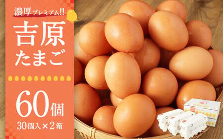 濃厚プレミアム！！吉原たまご2箱  30個入り×2箱 計60個（54個＋割れ保証6個） 卵 たまご