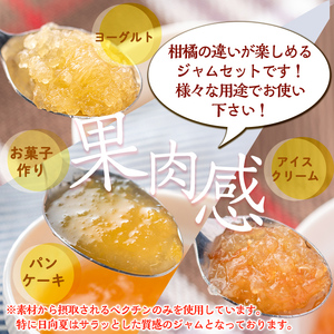 isa555 3種の柑橘ジャム食べ比べセットA(計6個・ボンタン、サワーポメロ、日向夏 各140g) 加工食品 果物 フルーツ 詰め合わせ 果肉 柑橘 低糖 ハンドメイド ジャム ギフト マーマレード