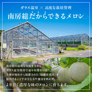 【定期便】【TVで紹介！】千葉アクアメロン1玉（1.4Kg）【4か月連続お届け】 mi0018-0005