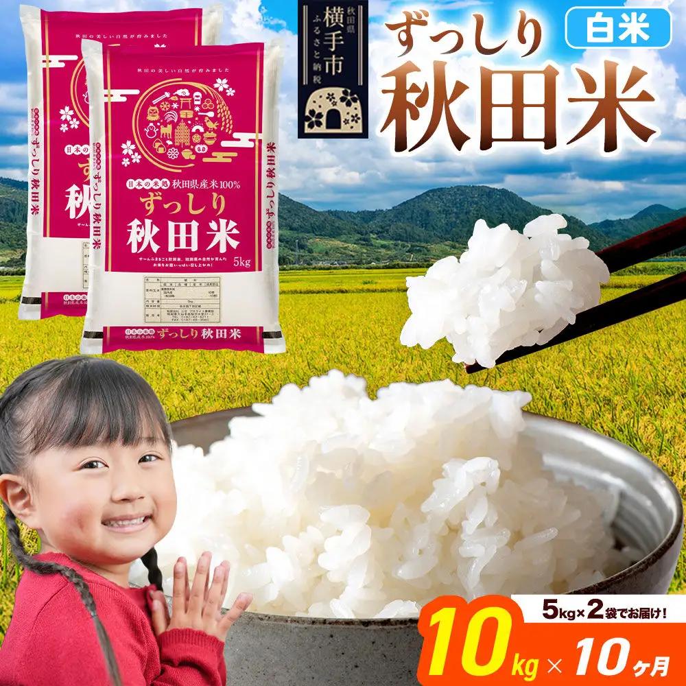 米《定期便10ヶ月》秋田県 横手市産 ブレンド米 令和7年産【白米】10kg（5kg×2袋）