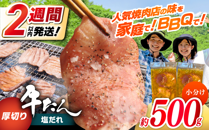 厚切り 牛タン 塩だれ 約250g×2パック 計約500g  小分け 個包装 味付け タレ たれ 高知県 お肉 牛肉 贅沢 焼き肉 BBQ バーベキュー 訳あり わけあり 【焼肉寛十郎】 [ATDO021]