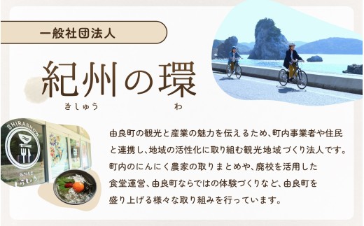 にんにく 秀品　由良の生にんにく 2kg / ニンニク 生ニンニク ガーリック ※2027年4月下旬より順次発送【ksnw006】 