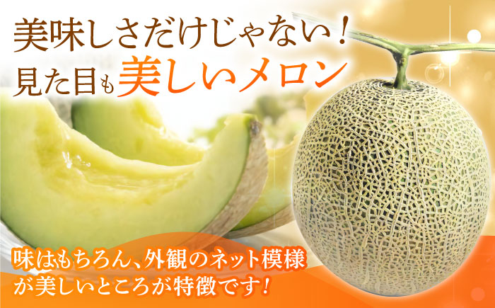 【数量限定】【先行予約】アールスメロン 約4kg～5kg（4L～5L）2玉入【株式会社 鹿本町振興公社（水辺プラザ鹿本）】 [ZEG001]