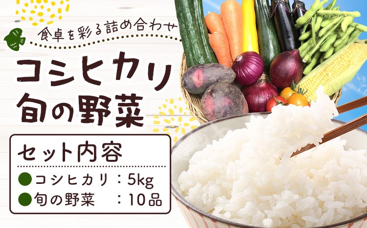 
                  米 野菜 千葉県我孫子市の農家直送! ふっくら甘み自慢の 令和7年産 コシヒカリ 5kg ＆ 旬の野菜 10品 《30日以内に出荷予定(土日祝除く)》 ベジLIFE!! 【配送不可地域あり】（沖縄・離島） 精米 米 白米 ごはん お米 国産 コメ 野菜 トマト キャベツ 白菜 玉ねぎ 千葉県 我孫子市
                