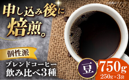 【お中元対象】コーヒー豆 個性派コーヒー飲み比べ 3種セット（各250g）珈琲 [AGCU023-2]