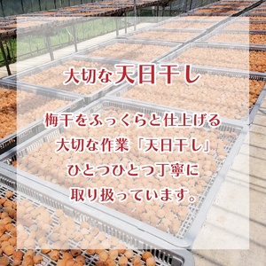 梅干 大梅 小梅 各480g