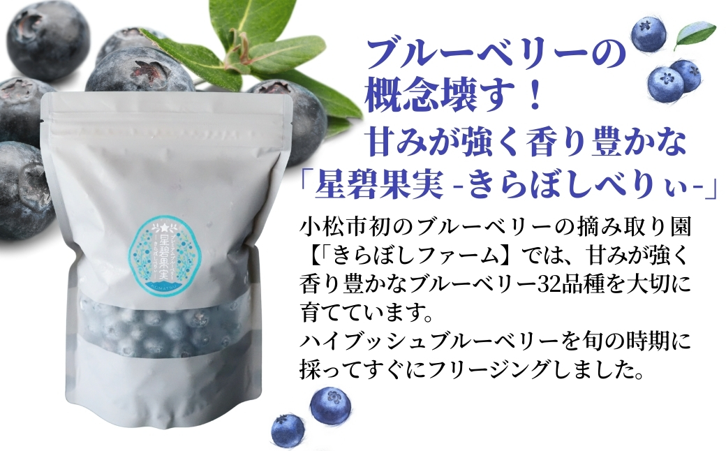 冷凍ブルーベリー５００ｇ×２袋