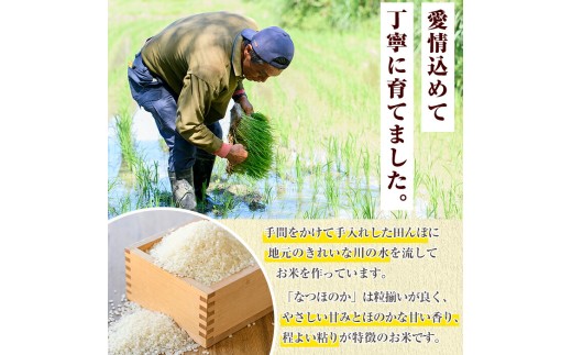 鹿児島県産のお米 なつほのか(計15kg・5kg×3袋) 国産 白米 自社精米 ご飯 おこめ おにぎり お弁当 【谷口ファーム】akn064-21