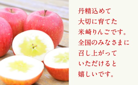 【2024年 先行予約】米崎りんご３㎏【品種おまかせ１種】